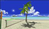 zber z hry Beach Volleyball Online